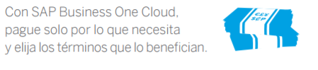 SAP Business One Cloud